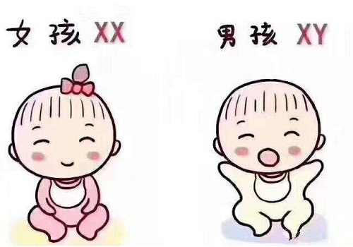 试管婴儿移植后只能休息？