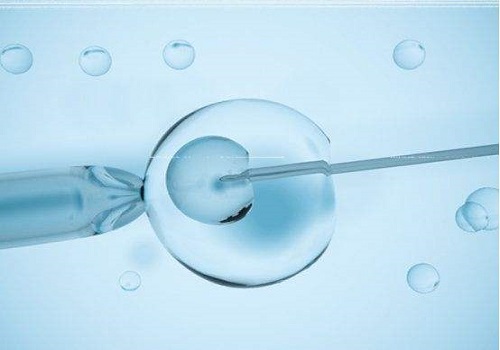 试管婴儿胚胎怎么选？等级越高越好吗？